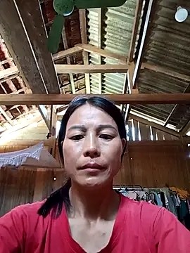 -Numin- webcam