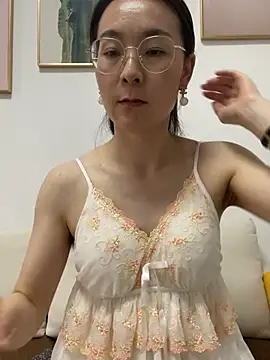 you-520 webcam