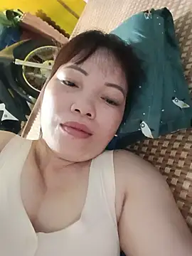 Sana-vn webcam
