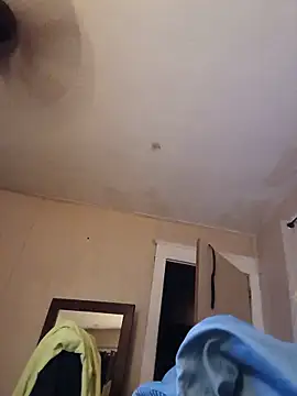 BuirdlyVerse webcam