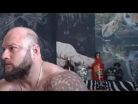 viking_30