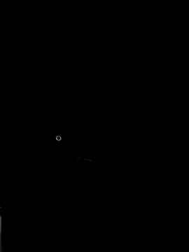 phlin1 webcam