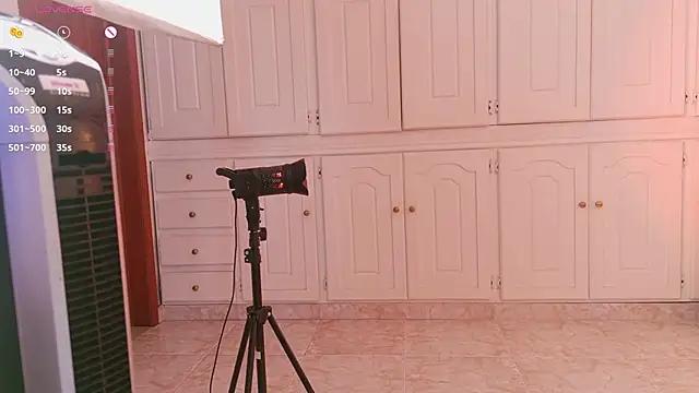 ninaavelvett webcam