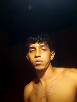 Noscay webcam