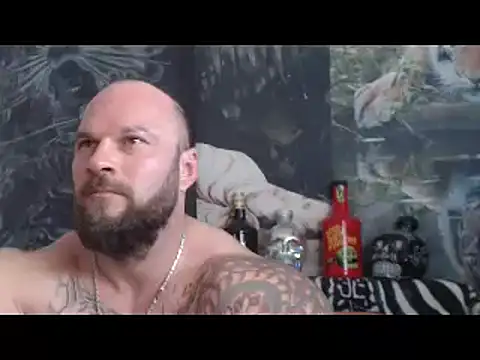 viking_30 webcam