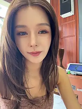 BBi-0329 webcam