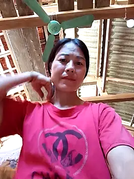 -Numin- webcam