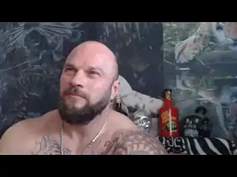 viking_30 webcam