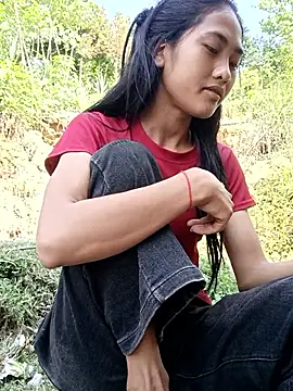 Hoa-tuylip webcam