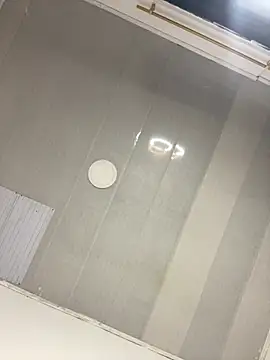 NV-Nikoll webcam