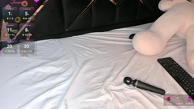 KaelSoft_ webcam