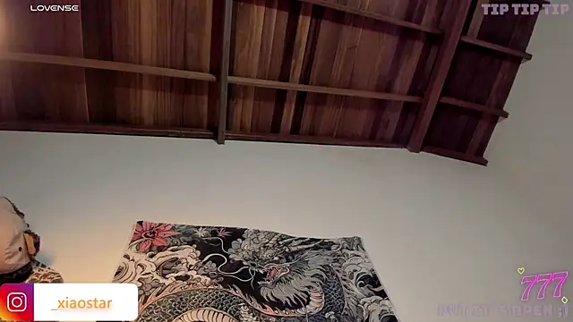 XiaoStar webcam