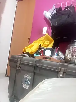 loba9706 webcam