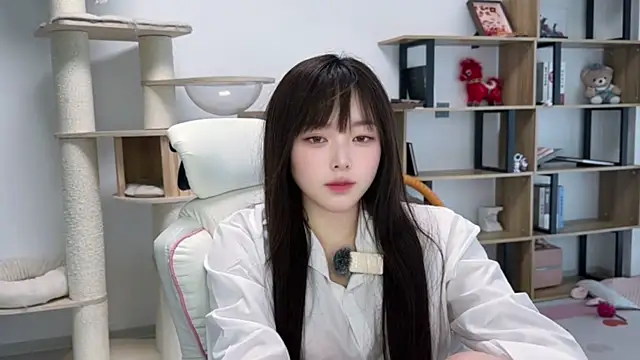 SakuraCat6 webcam