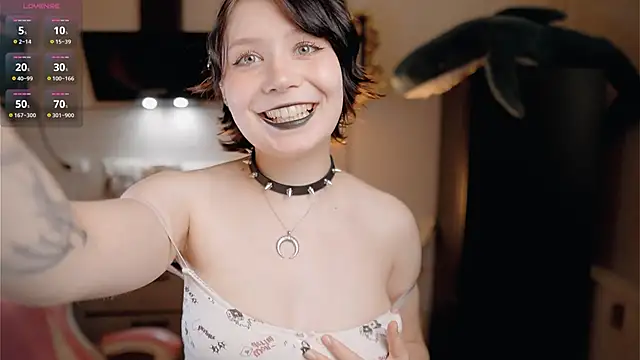 Nickari webcam
