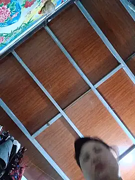 Monglan-c webcam