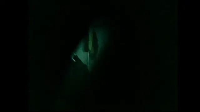 danistrial webcam