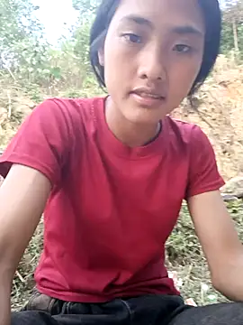 Hoa-tuylip