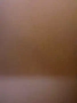 Kannanu webcam