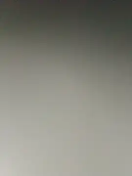 yaraa49