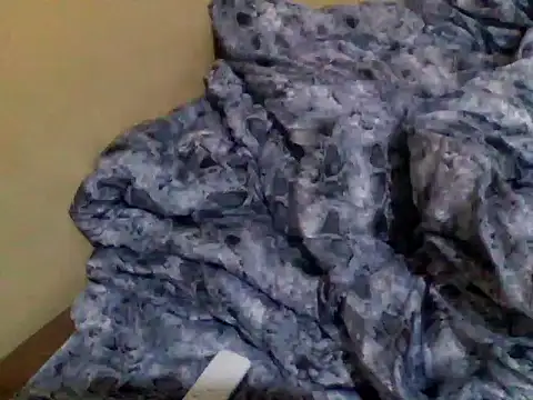 valley_pixy webcam