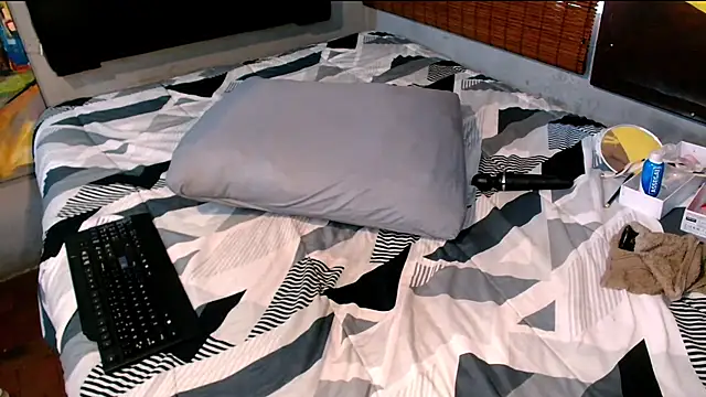 DidyBerry webcam