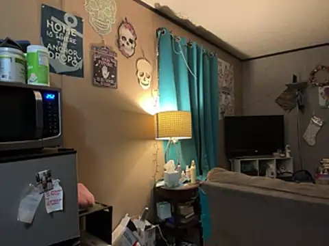 denverfwb webcam