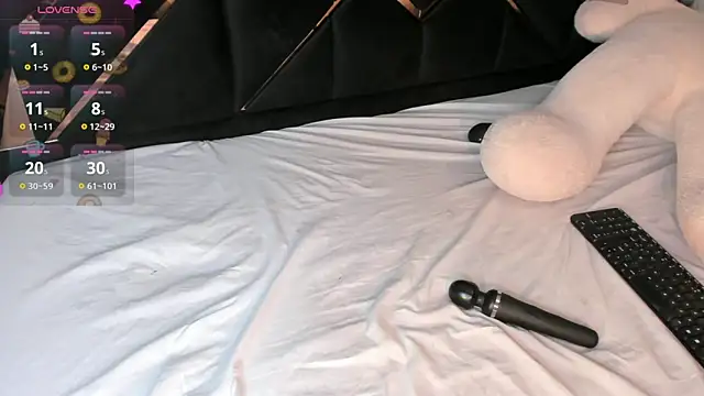 KaelSoft_ webcam