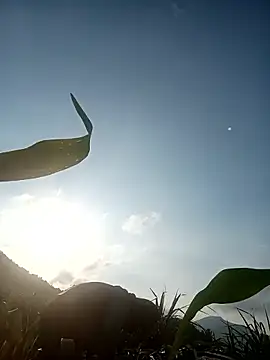 nangmo webcam