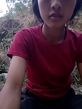 Hoa-tuylip webcam