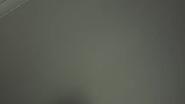 adelaide2026 webcam