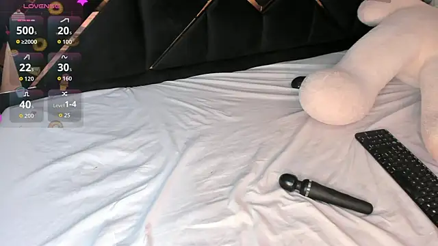 KaelSoft_ webcam