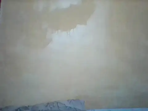 Africangal webcam