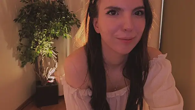 Alice-Lidel webcam
