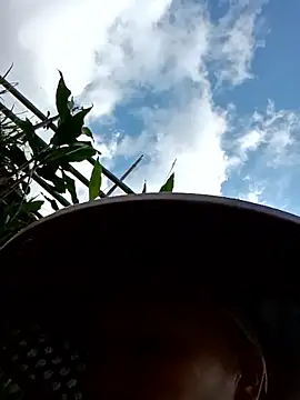 zanalove webcam