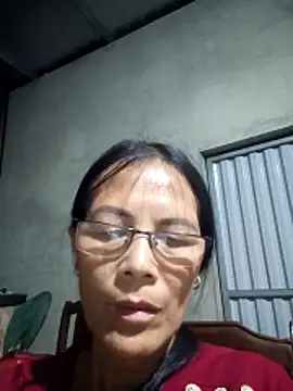 toyo_668 webcam