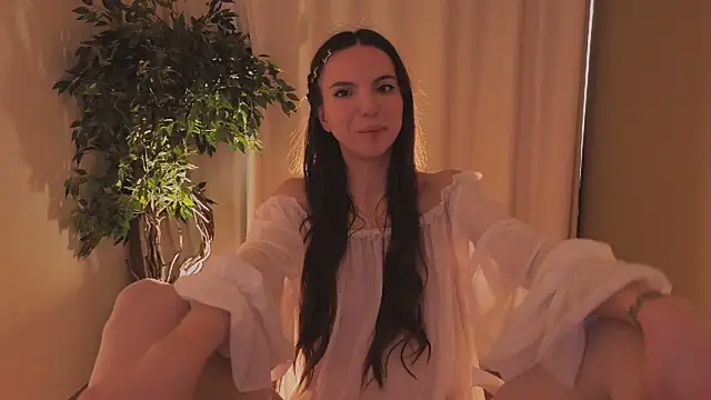 Alice-Lidel webcam