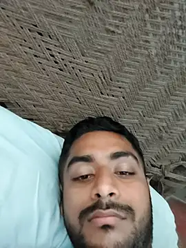 lm12334 webcam