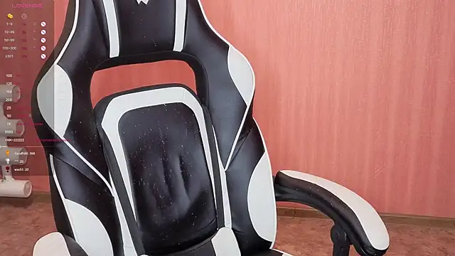 reaiss webcam