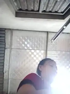 toyo_668 webcam