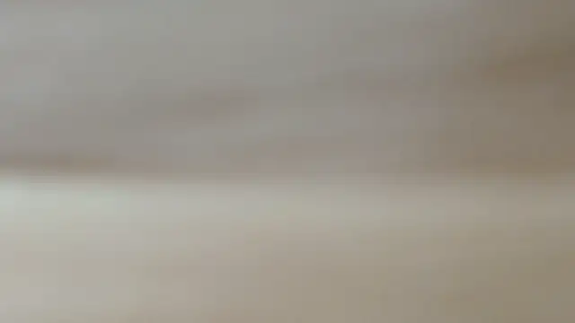sonyx webcam