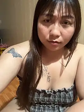 Sumi_pusy webcam