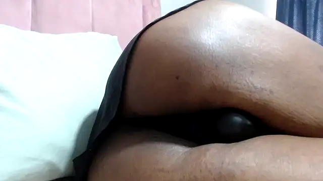 Bracylia webcam