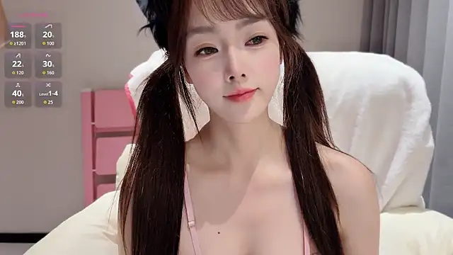 -ov-er- webcam