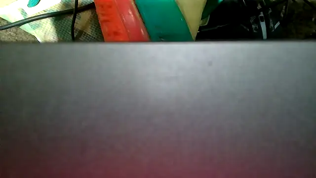 slinginbigD webcam