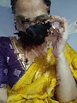 Hansikatelugu webcam