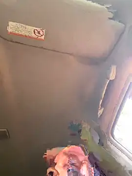 Dellah27 webcam