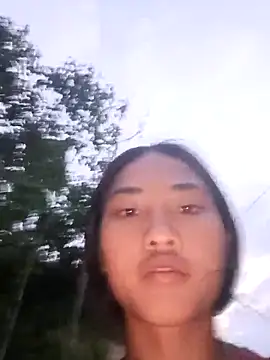 Hoa-tuylip webcam