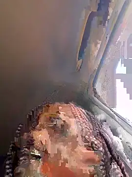 Dellah27 webcam
