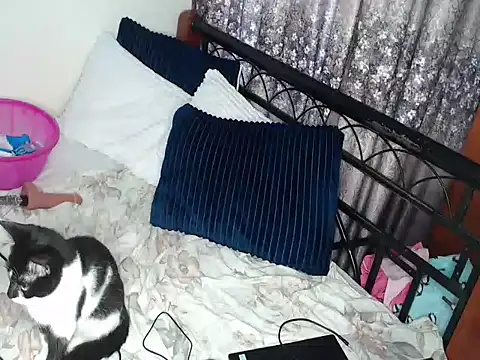 Whimsicalwillow webcam